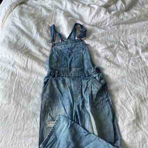 OVERALLS FROM WILD FABLE